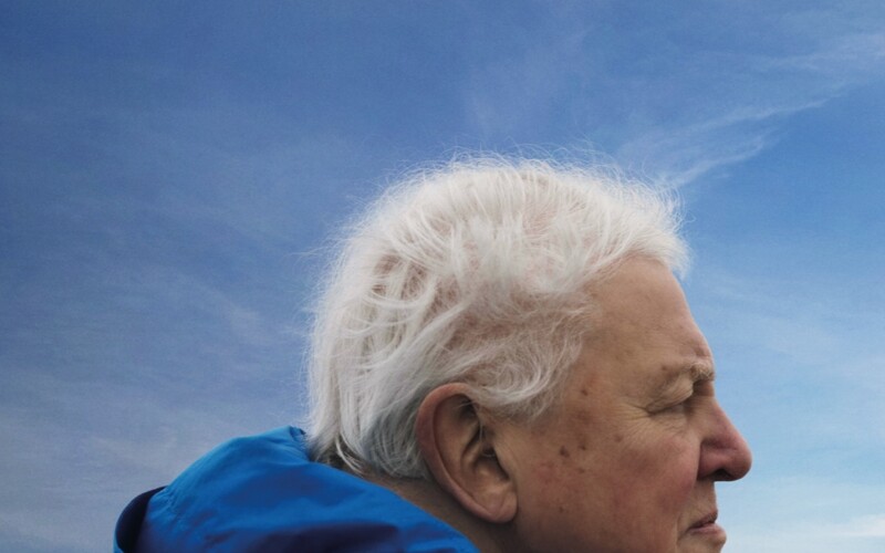 Blog Header Image