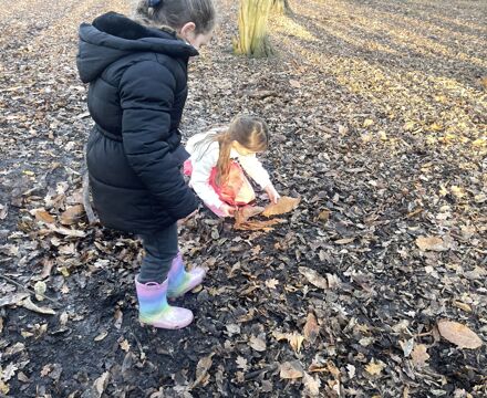 IMG 3613