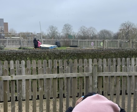 IMG 4173