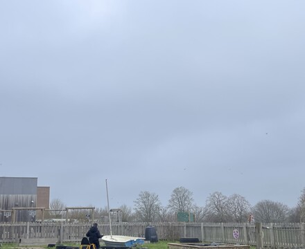 IMG 4175