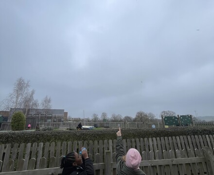 IMG 4176