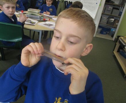 IMG 4758