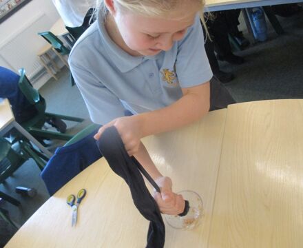 IMG 4597