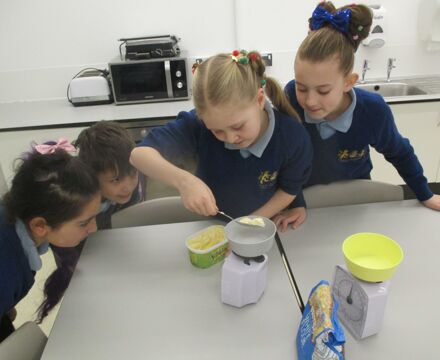IMG 4684