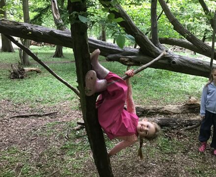IMG 2412