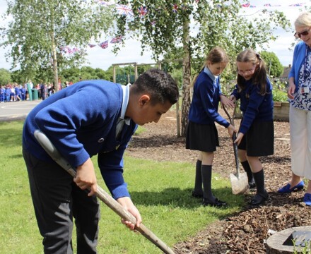 Planting