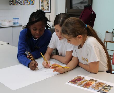 IMG 8571