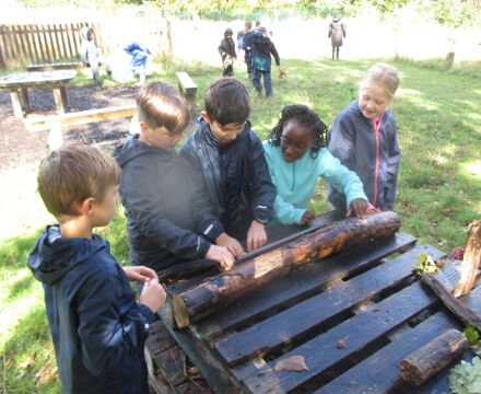 IMG 4276