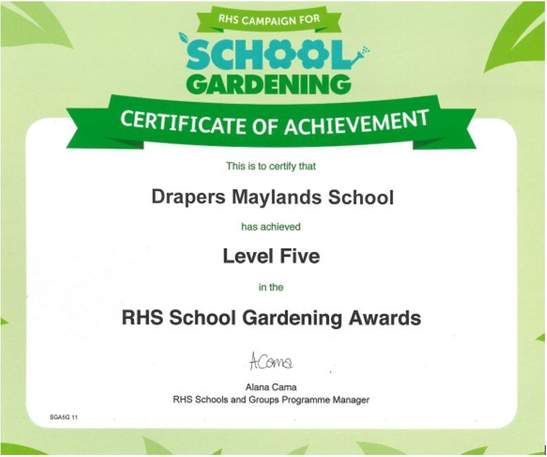 School gardening