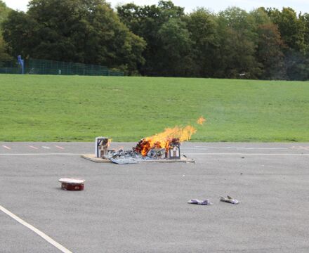 IMG 9751