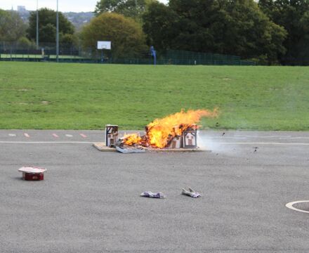 IMG 9746