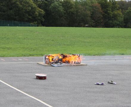 IMG 9744
