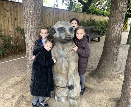 IMG 3050