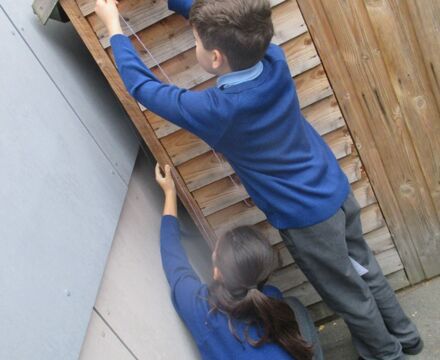 IMG 4557