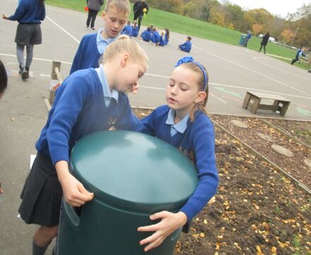IMG 4558